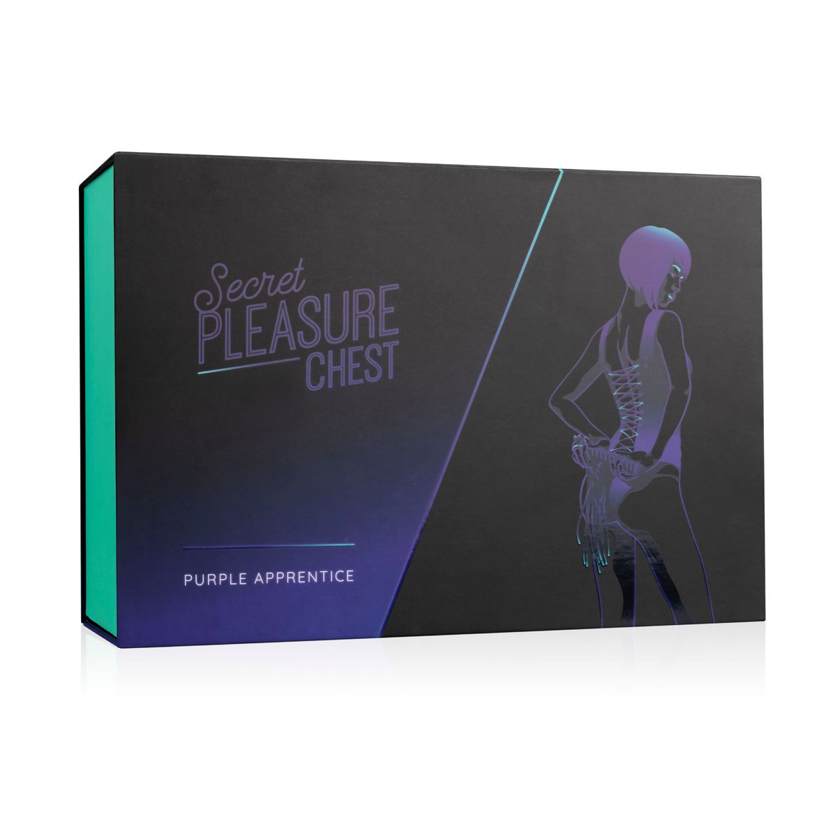 Bedroom Fantasies Secret Pleasure Chest X Bedroom Fantasies Purple Apprentice