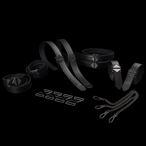 LOCKINK - 8-Bondage-Straps Restraint Set - black
