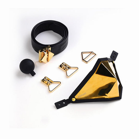 LOCKINK - Golden Punker Muzzle Gag Set Gold