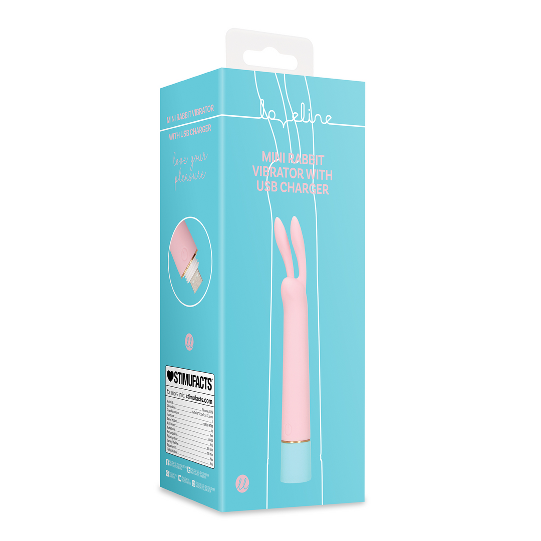 Mini Rabbit Vibrator With Usb Charger Cherry Chiffon