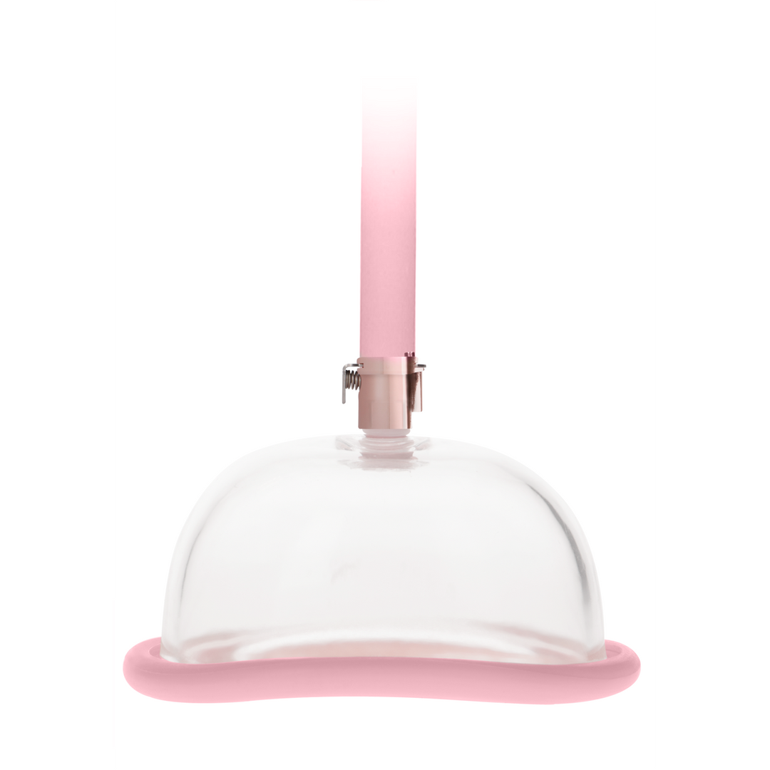 Pumped Acrylic Vagina Pomp