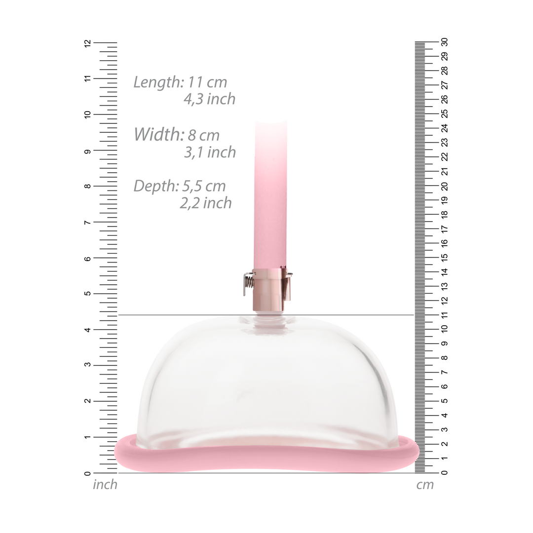 Pumped Acrylic Vagina Pomp