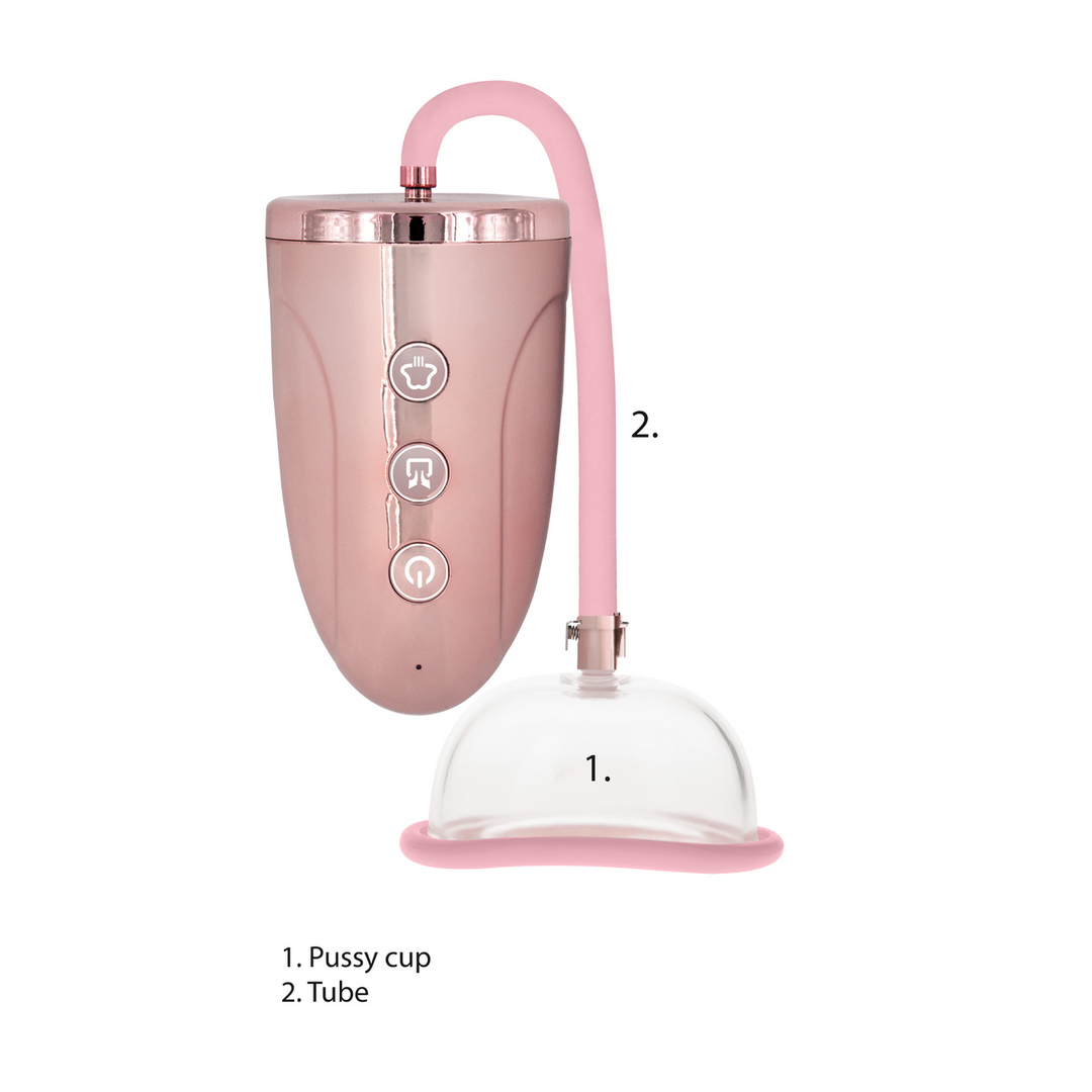 Pumped Vagina Pomp