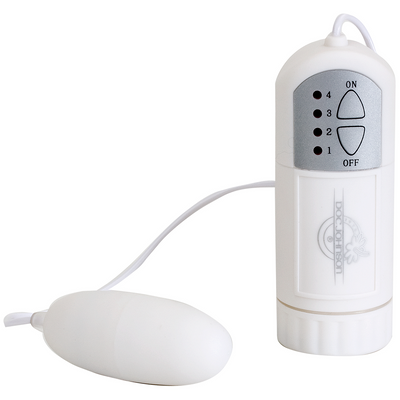 Bullet And Controller