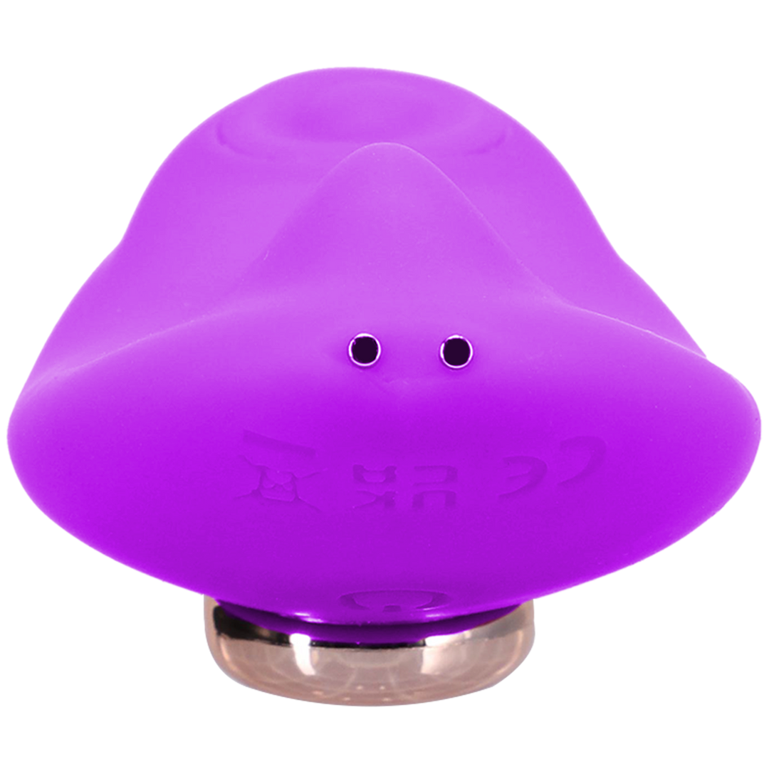 Magnetic Panty Vibe With Remote Purple