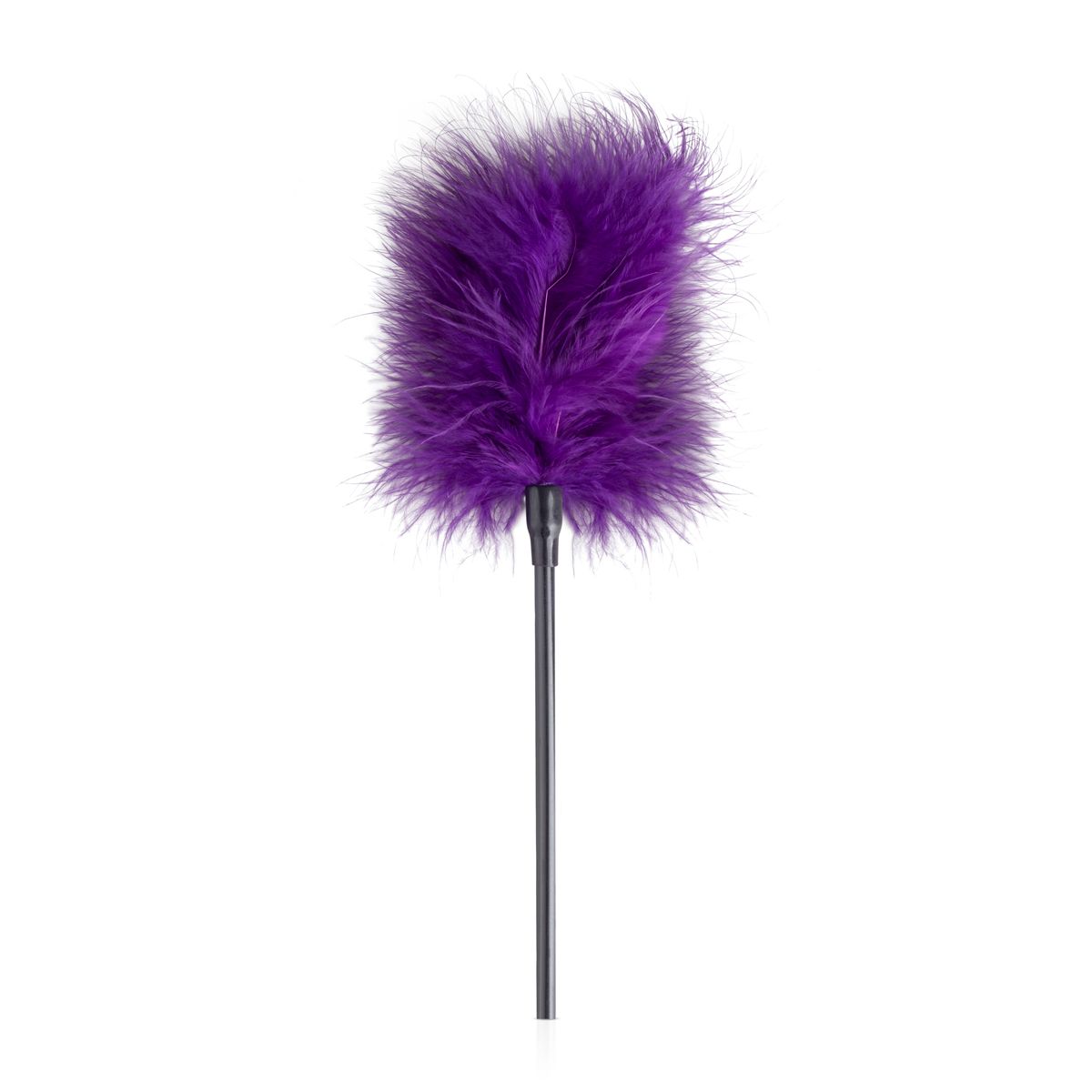 Bedroom Fantasies Secret Pleasure Chest X Bedroom Fantasies Purple Apprentice