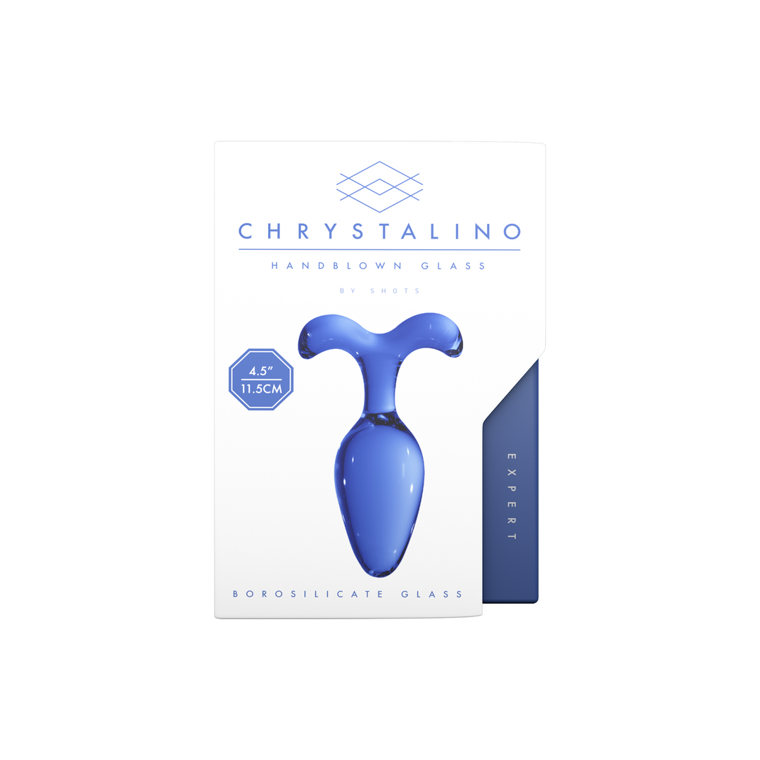 Expert Glass Butt Plug