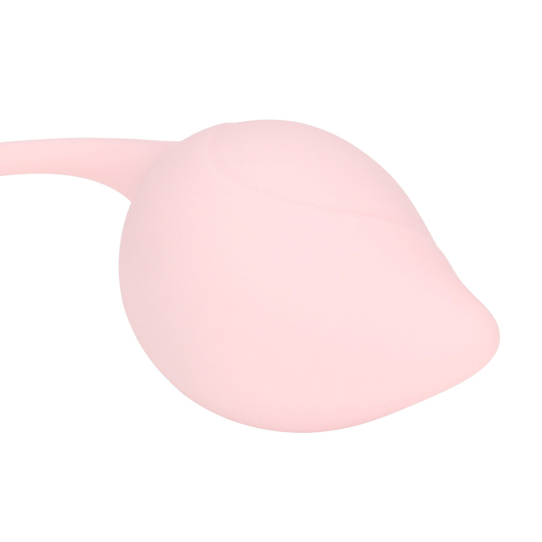 Pelvic Stem Kegel Kit Multicolor