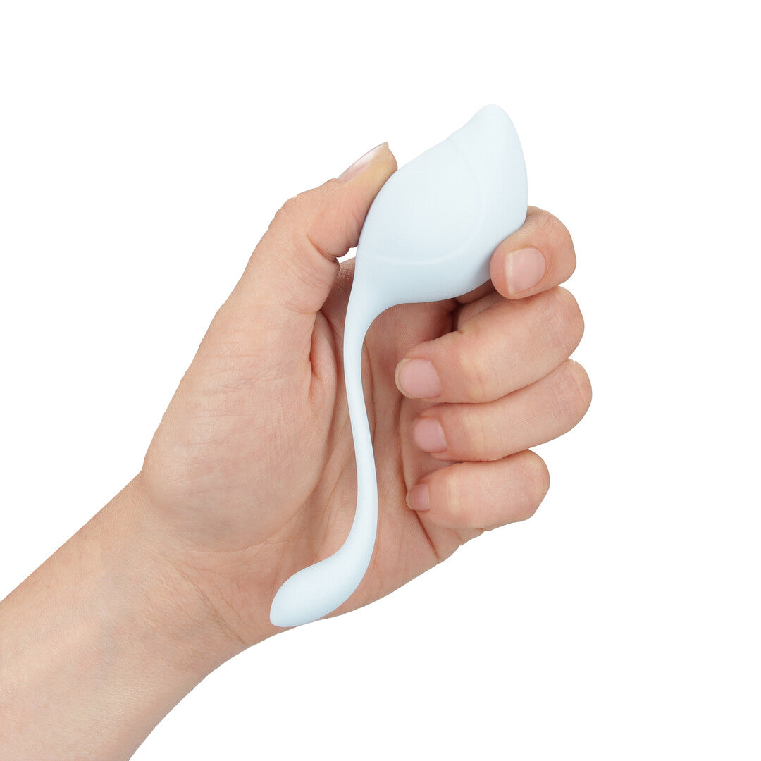 Pelvic Stem Kegel Kit Multicolor