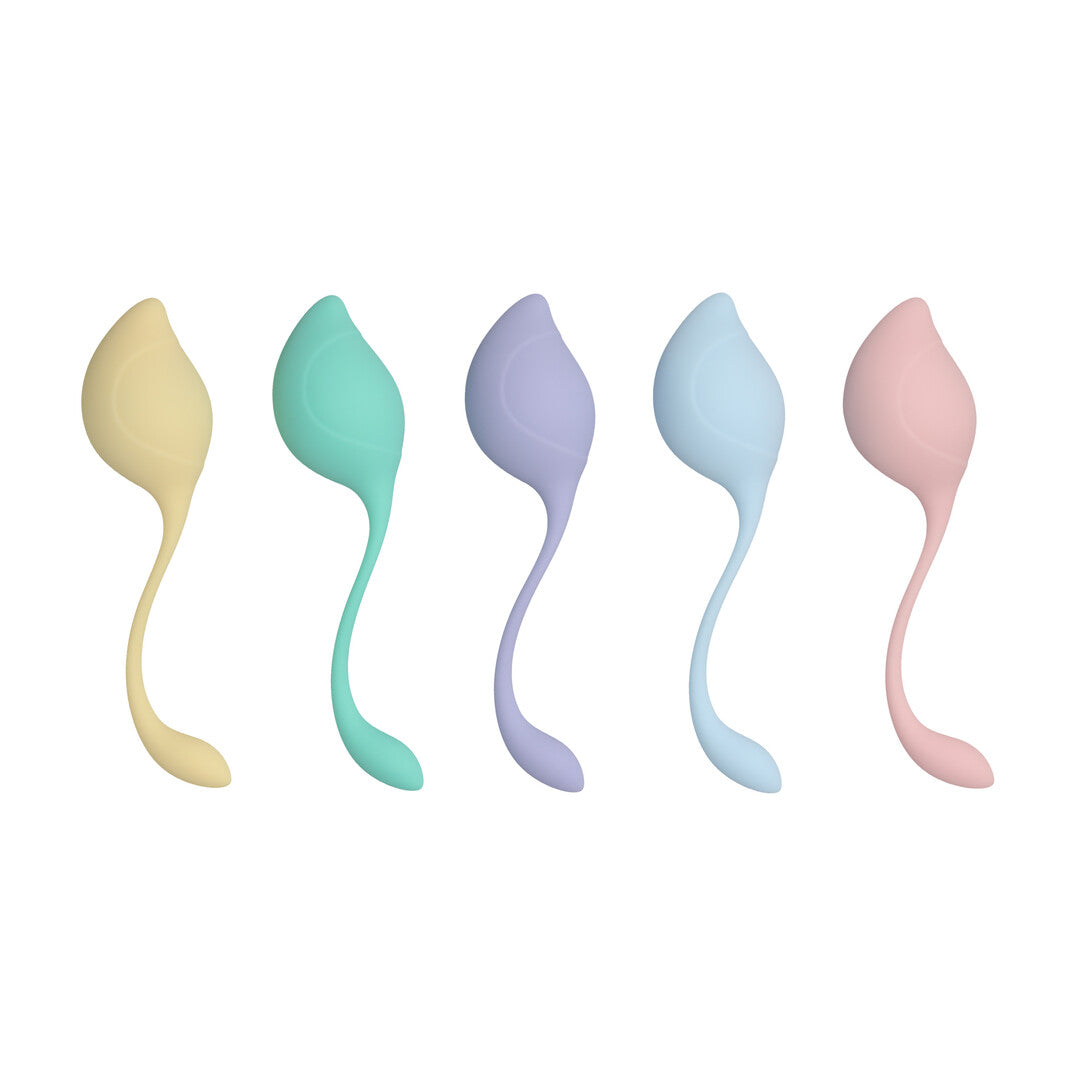 Pelvic Stem Kegel Kit Multicolor