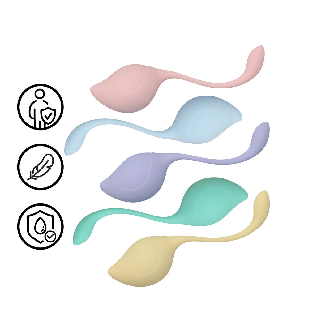 Pelvic Stem Kegel Kit Multicolor